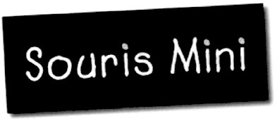 souris mini