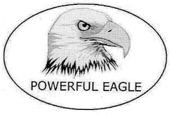 powerful eagle