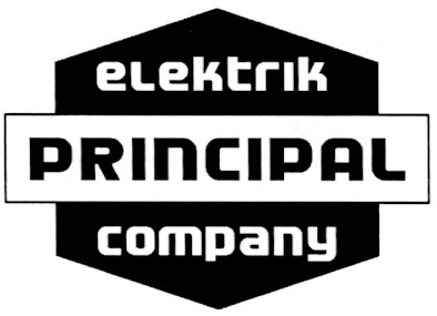 elektrik principal company