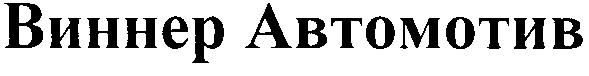 виннер автомотив