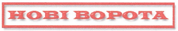 нові ворота