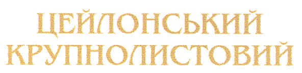 цейлонський крупнолистовий