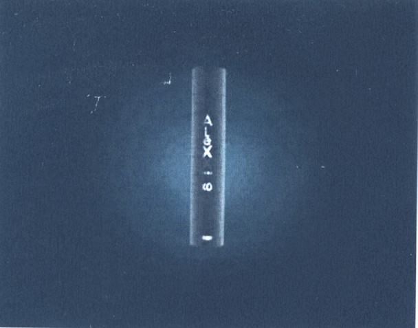 ALEXX