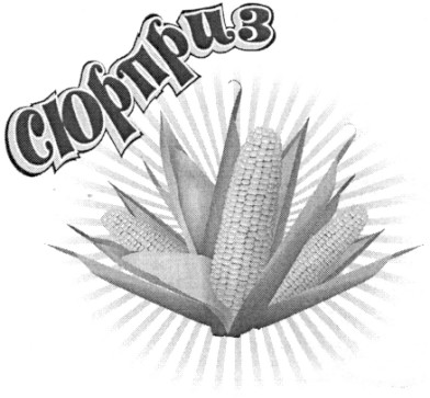 сюрприз