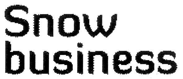 snow business