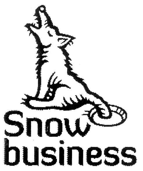 snow business
