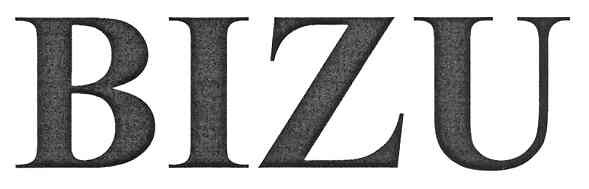 bizu
