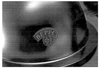 bepec
