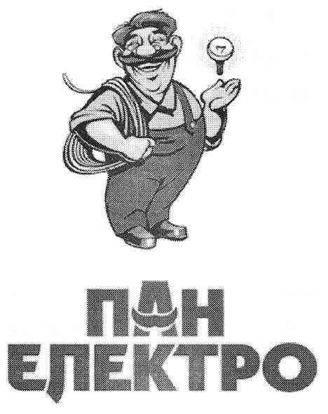 пан електро
