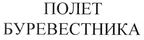полет буревестника
