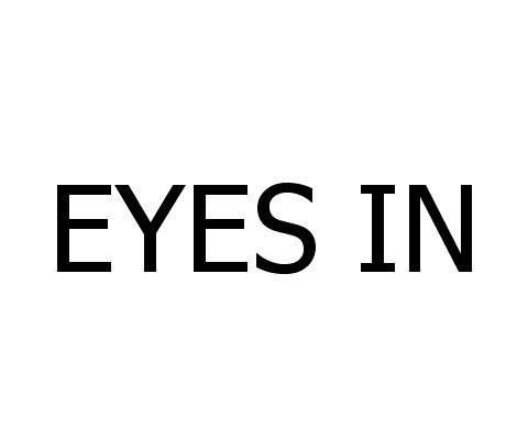 eyes in