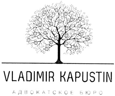 vladimir kapustin адвокатское бюро