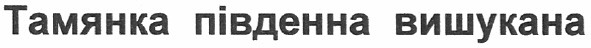 тамянка південна вишукана