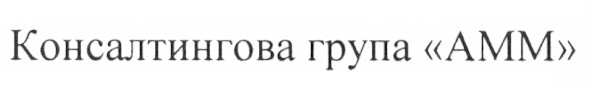 консалтингова група амм