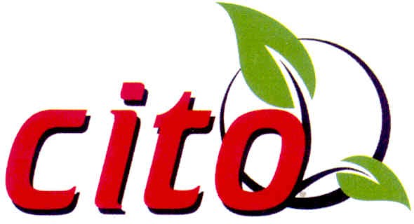cito