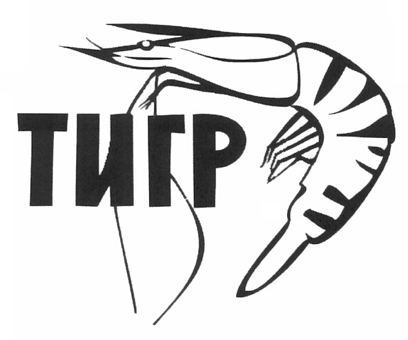 тигр