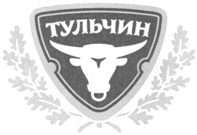 тульчин