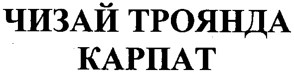 чизай троянда карпат