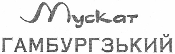 мускат гамбургзький
