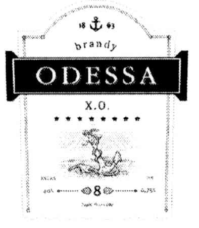brandy odessa
