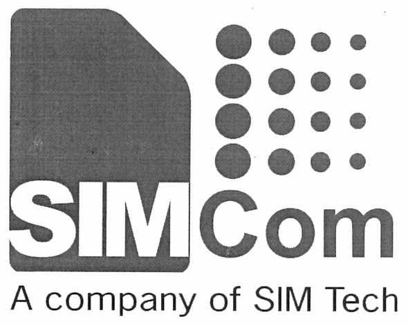 a company of sim tech