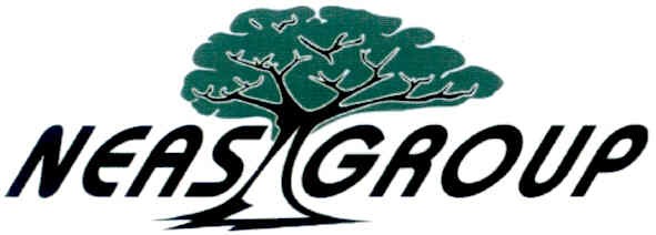 neas group