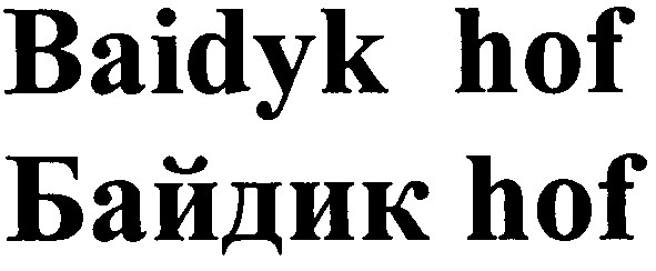 baidyk hof