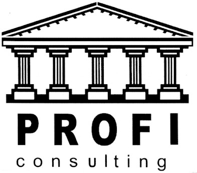 profi consulting