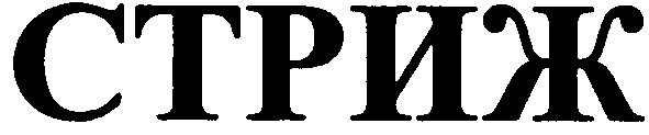 стриж