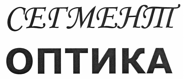 сегмент оптика