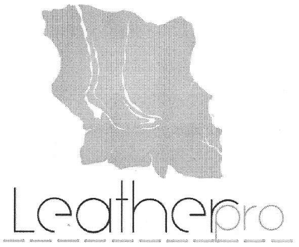 leatherpro