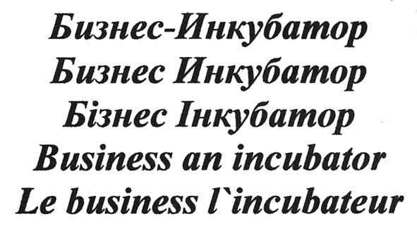 le business l`incubateur