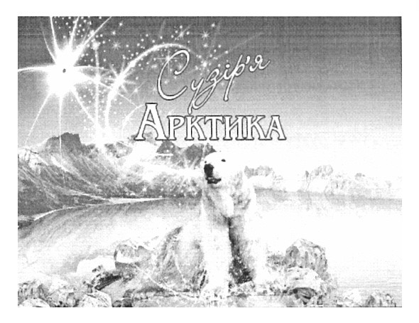 сузір`я арктика