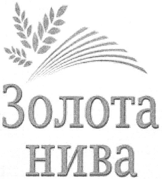 золота нива