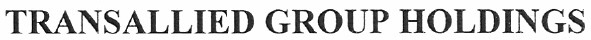 transallied group holdings