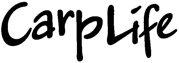 carplife