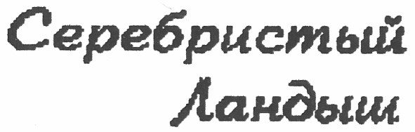 серебристый ландыш