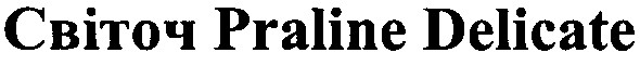 світоч praline delicate