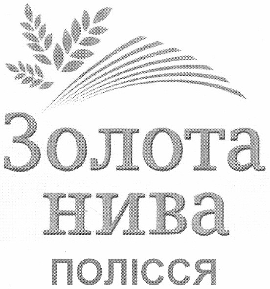 золота нива полісся