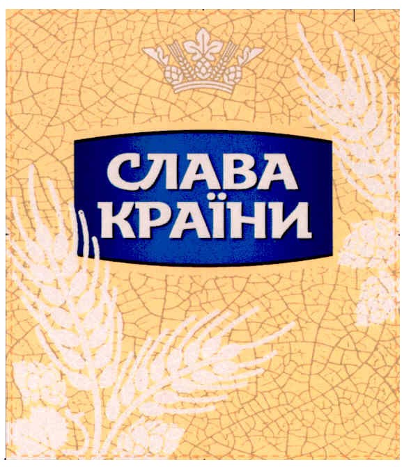 слава країни
