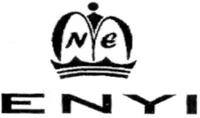 enyi