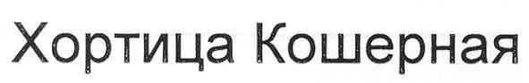 хортица кошерная