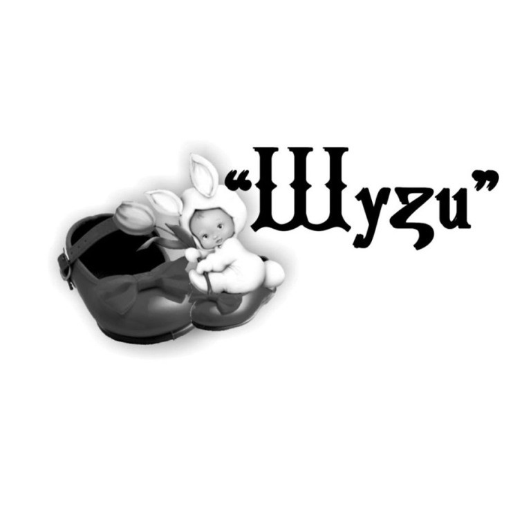 шузи