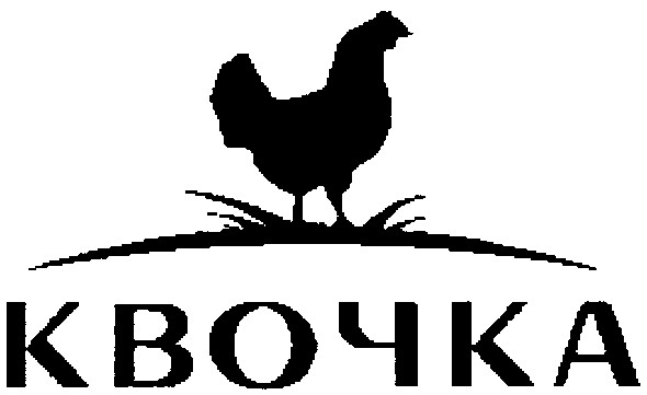 квочка