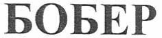бобер