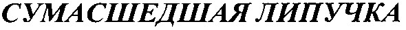 сумасшедшая липучка