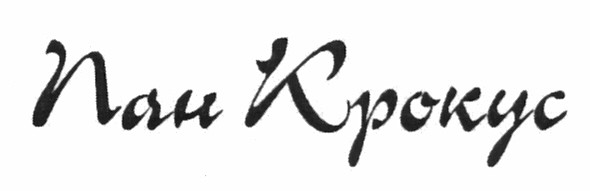 пан крокус