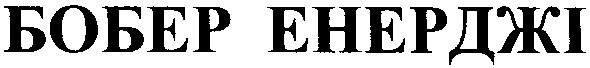 бобер енерджі