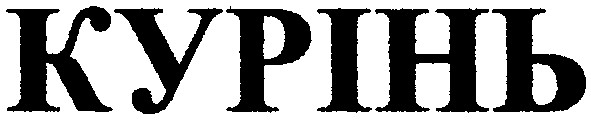 курінь