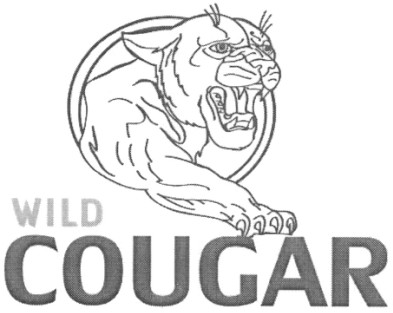 wild cougar